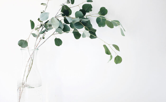 Decoração para o outono